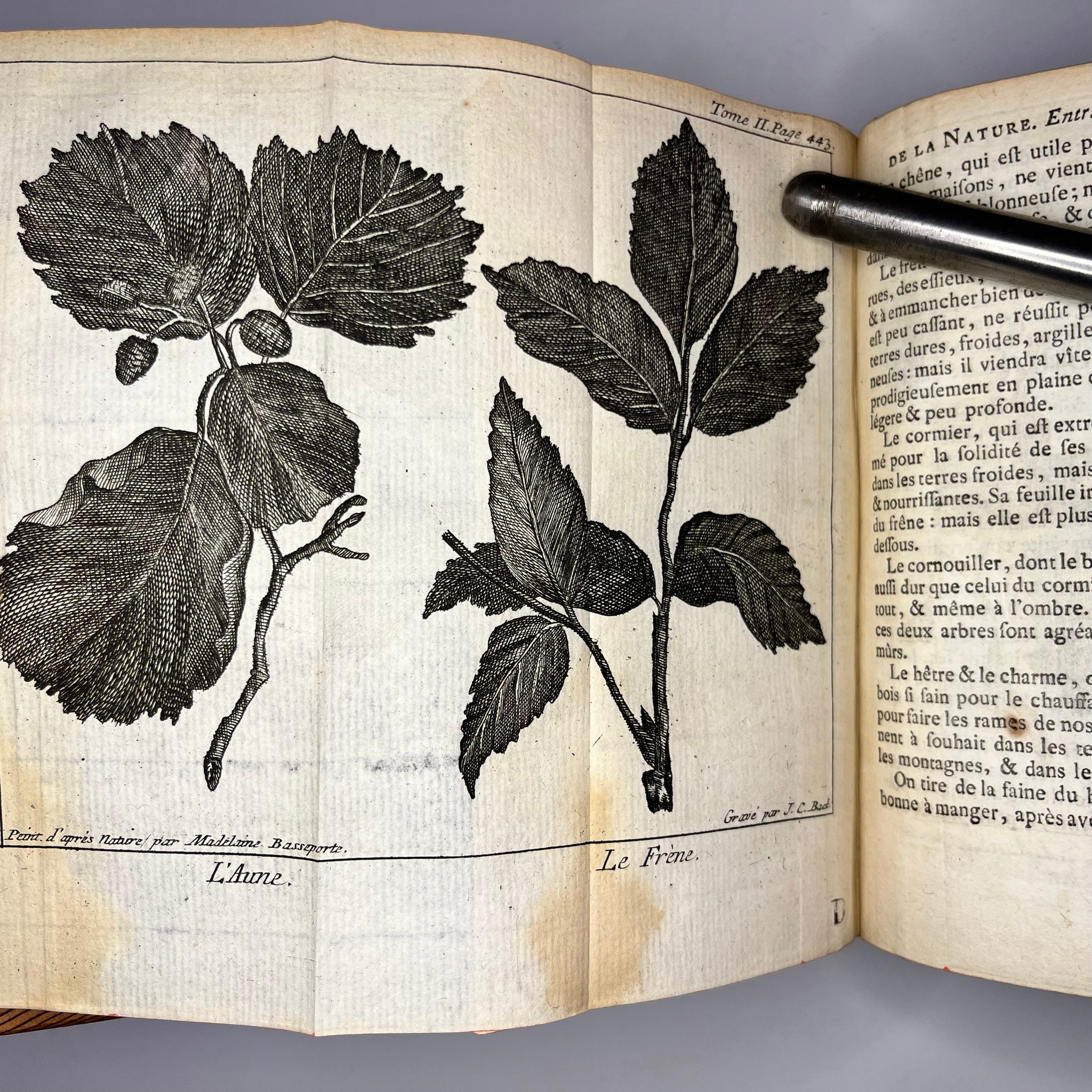 1771 Le Spectacle de la Nature by Noel-Antoine Pluch Tome 2