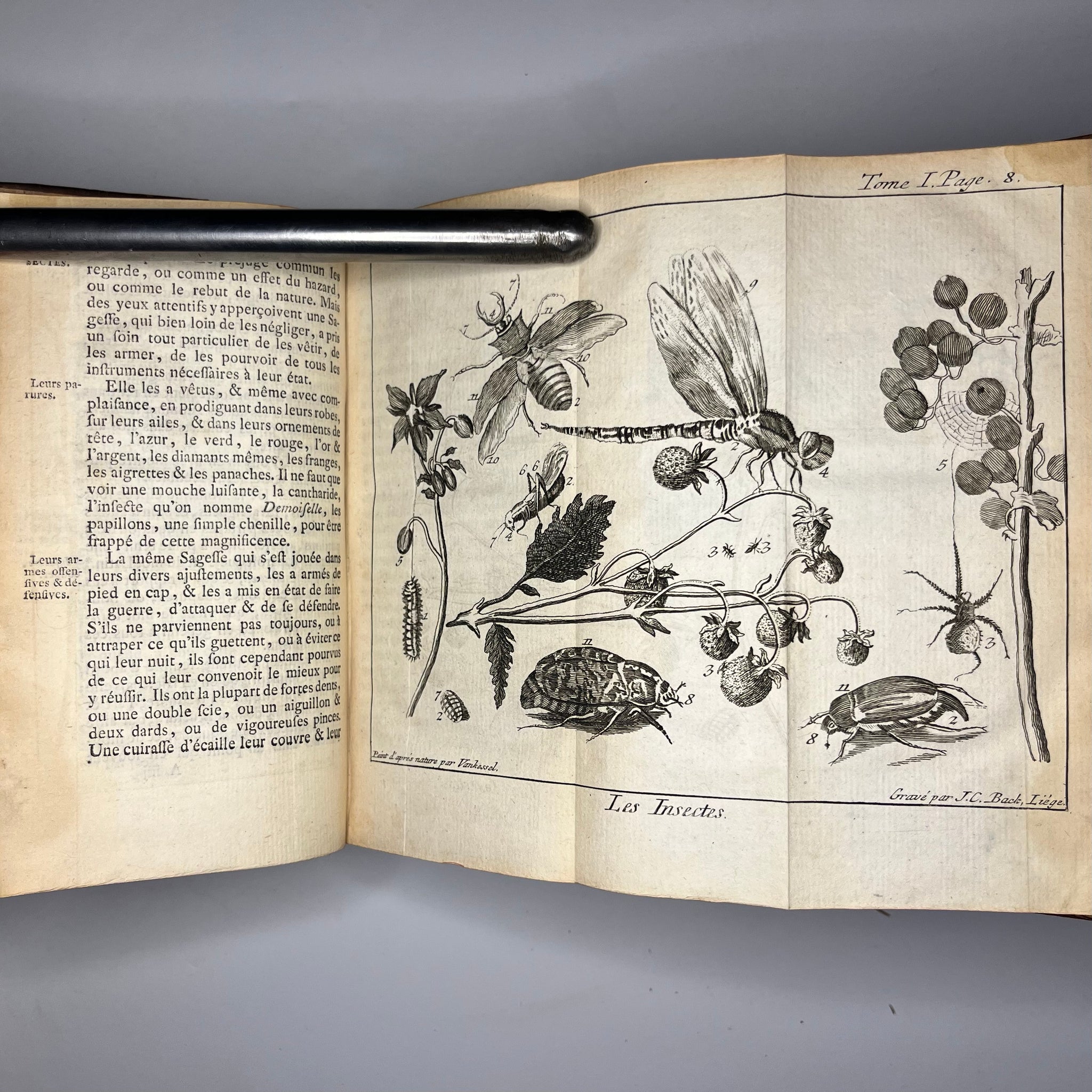 1771 Le Spectacle de la Nature by Noel-Antoine Pluche Tome 1