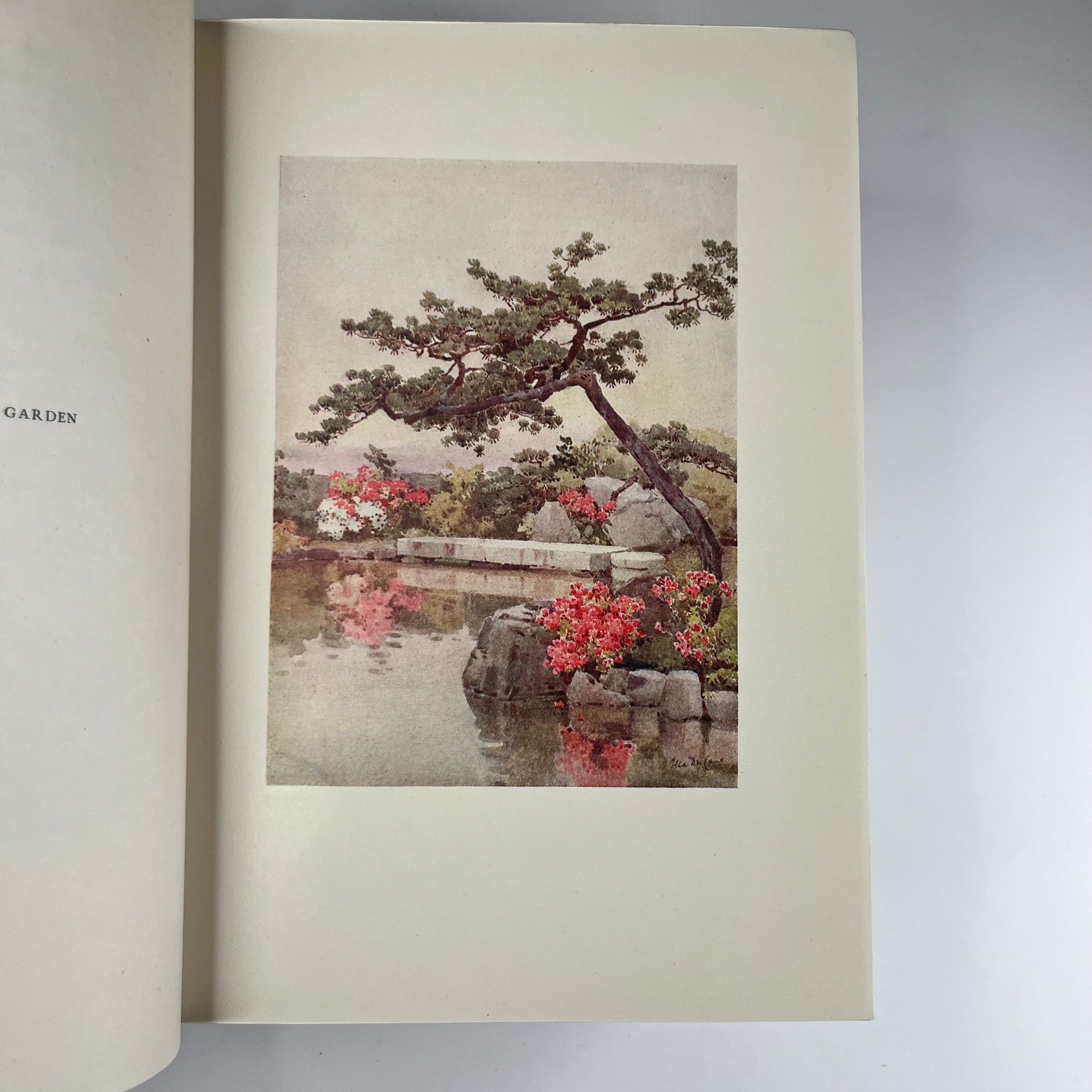 1908 The Flowers and Gardens of Japan Painted by Ella Du Cane Described by Florence Du Cane