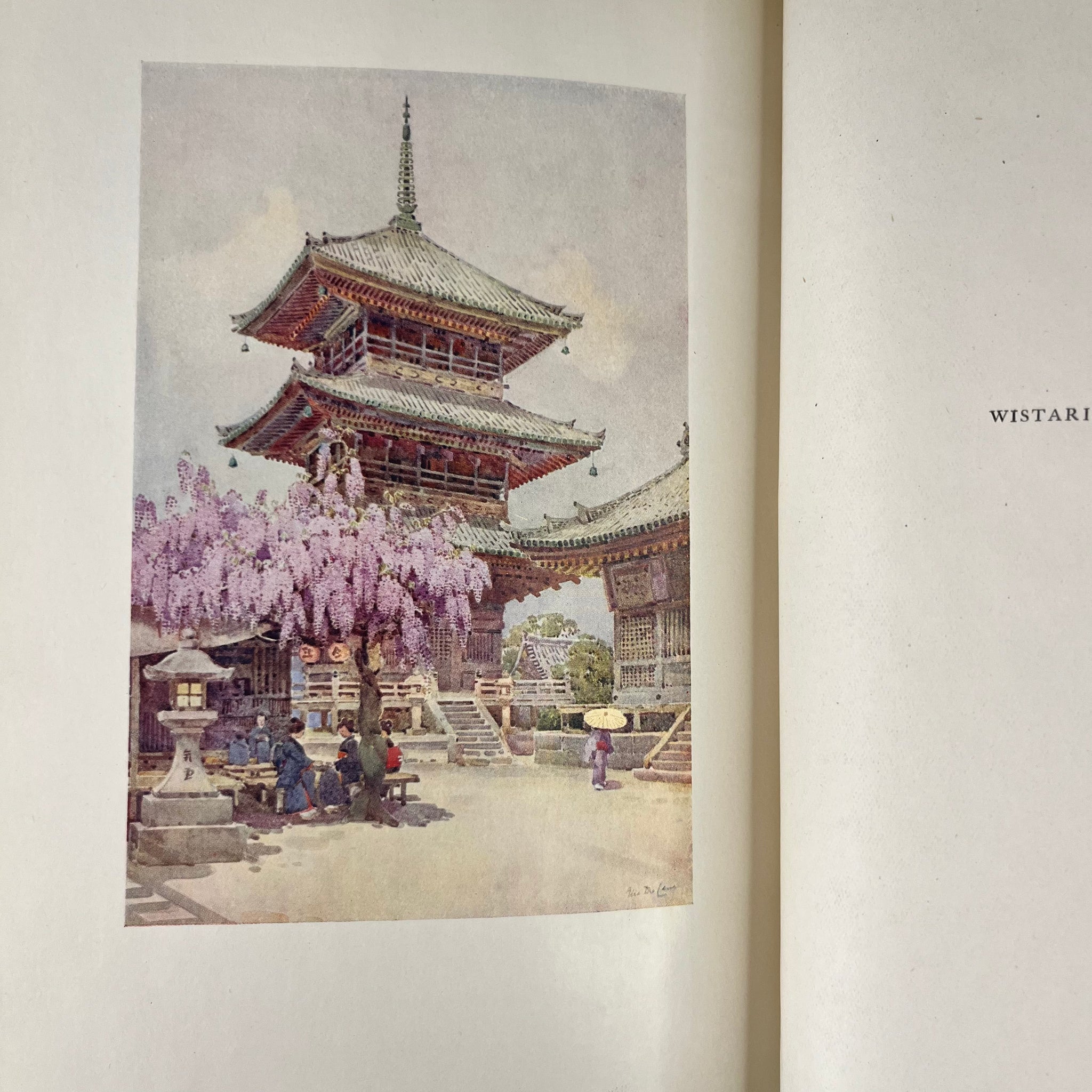 1908 The Flowers and Gardens of Japan Painted by Ella Du Cane Described by Florence Du Cane