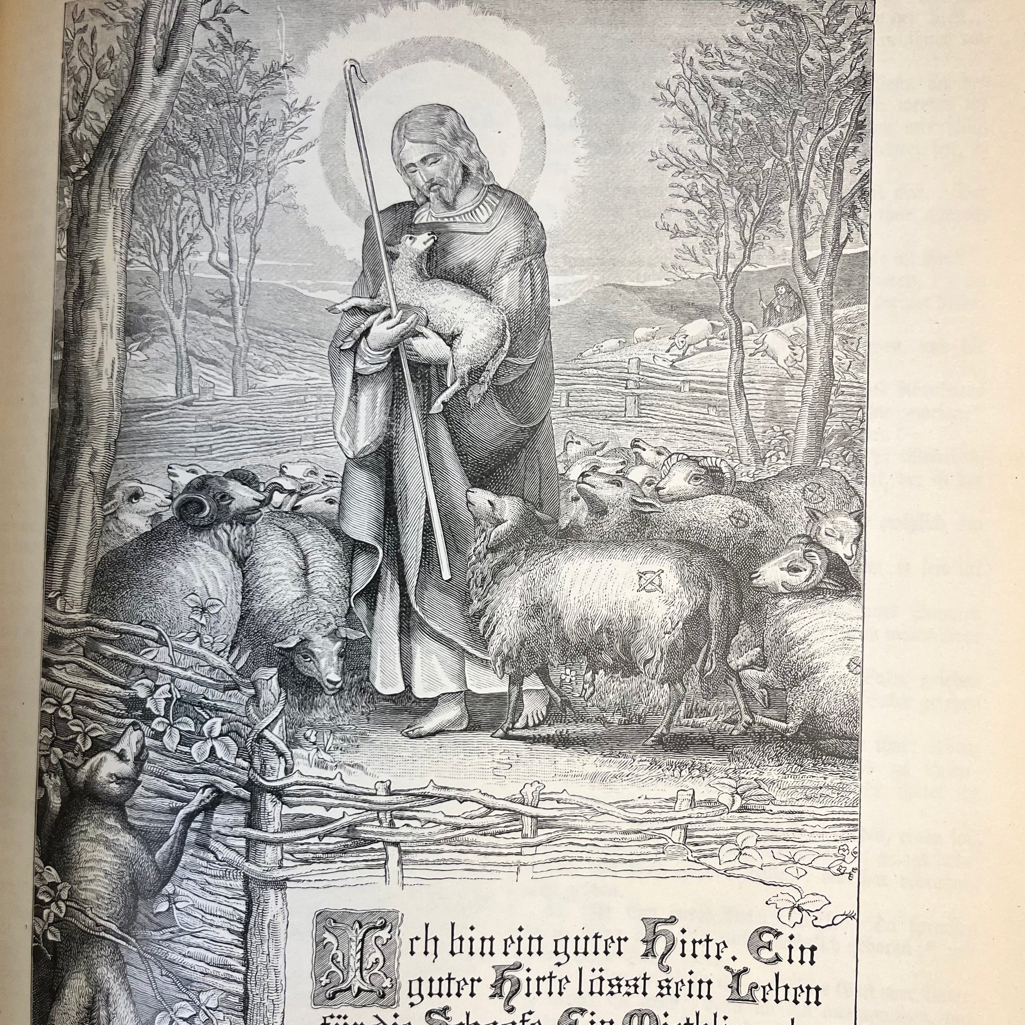 1800s Illustrated German Bible