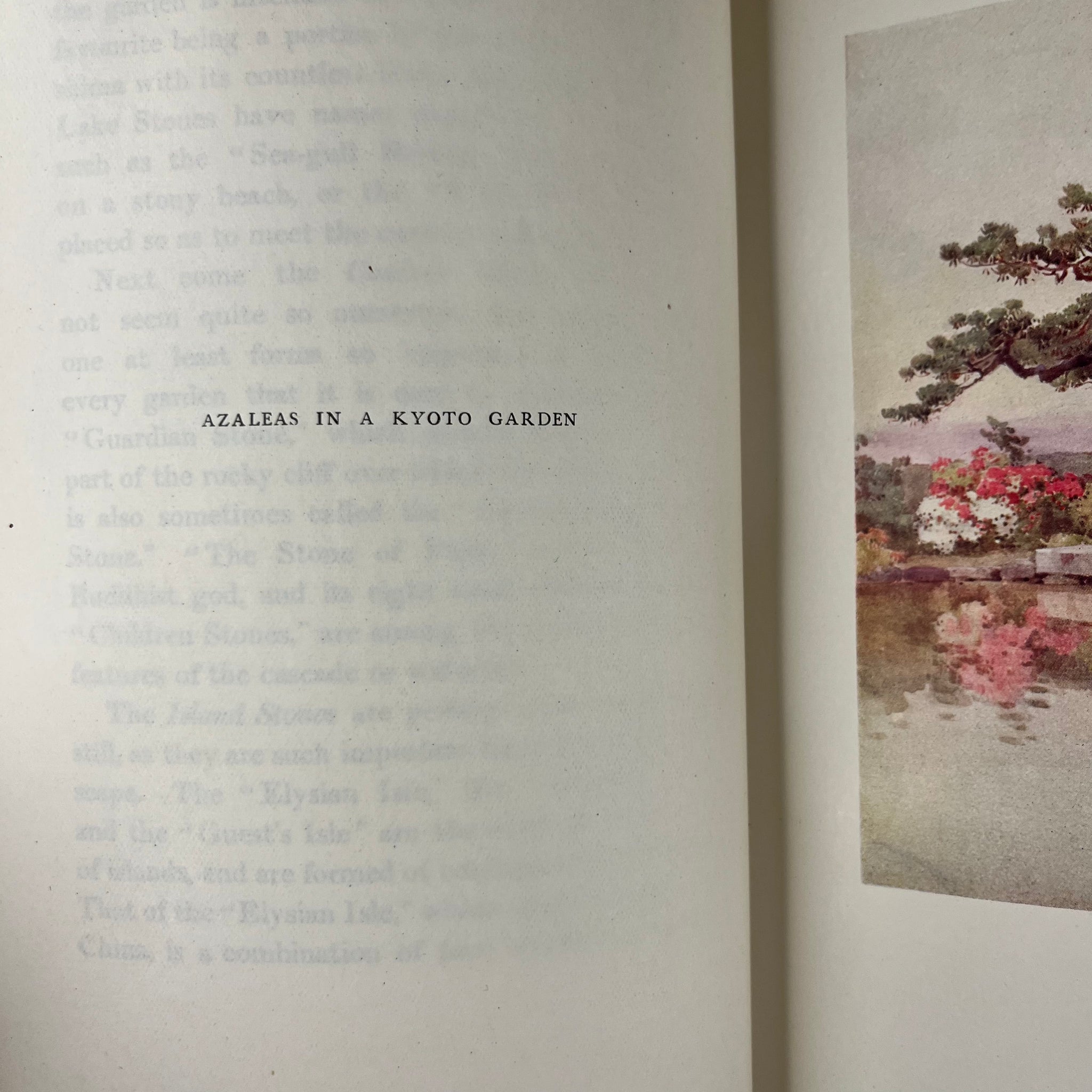 1908 The Flowers and Gardens of Japan Painted by Ella Du Cane Described by Florence Du Cane