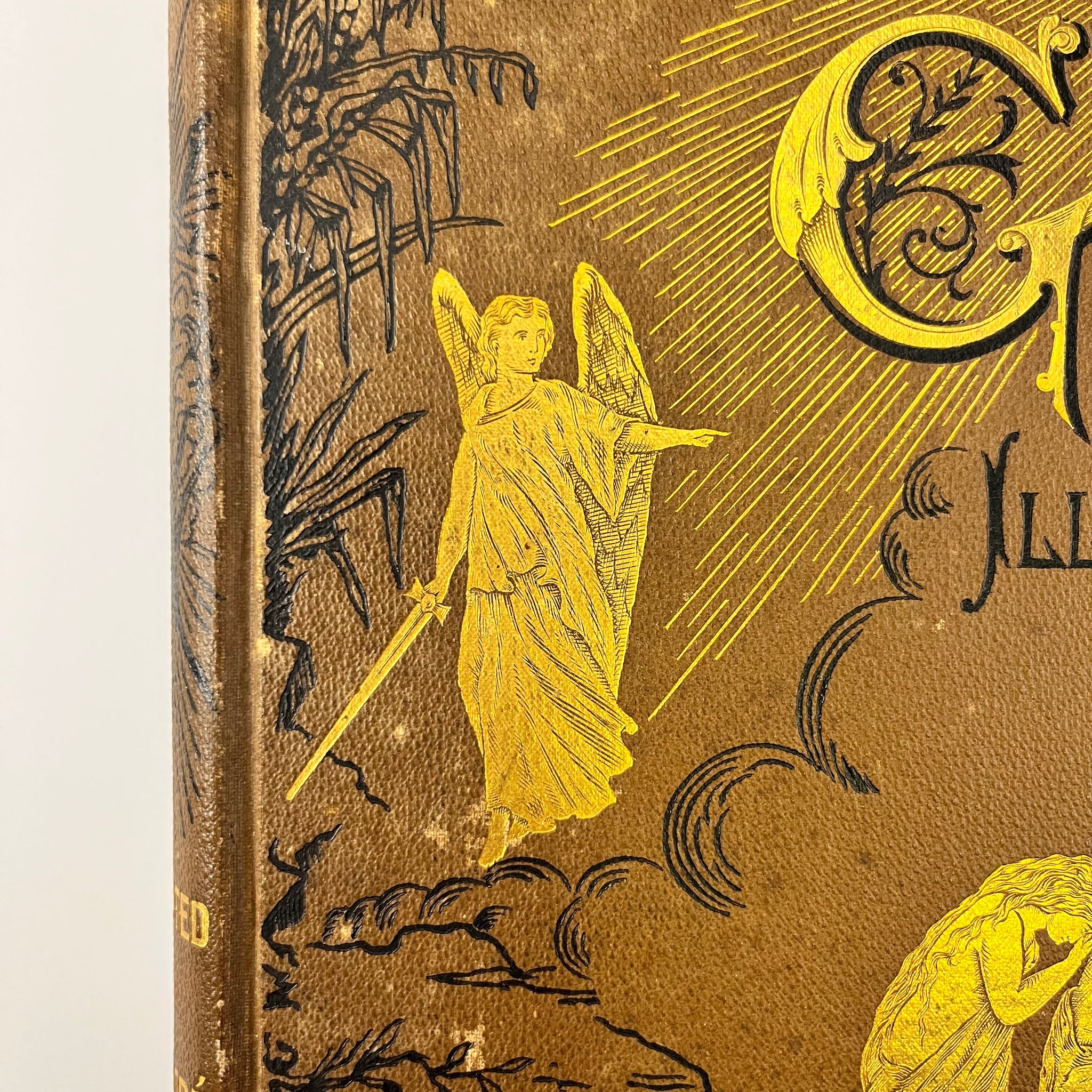 1880 Bible Gallery Illustrated By Gustave Doré Cassel & Company Binding