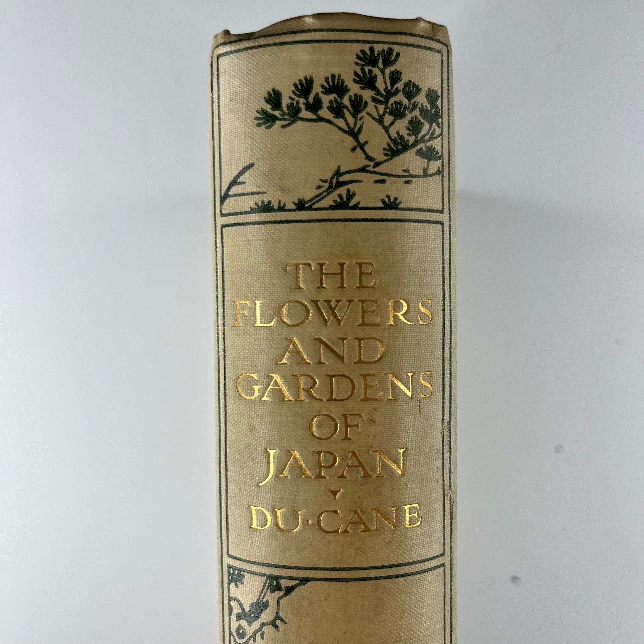 1908 The Flowers and Gardens of Japan Painted by Ella Du Cane Described by Florence Du Cane