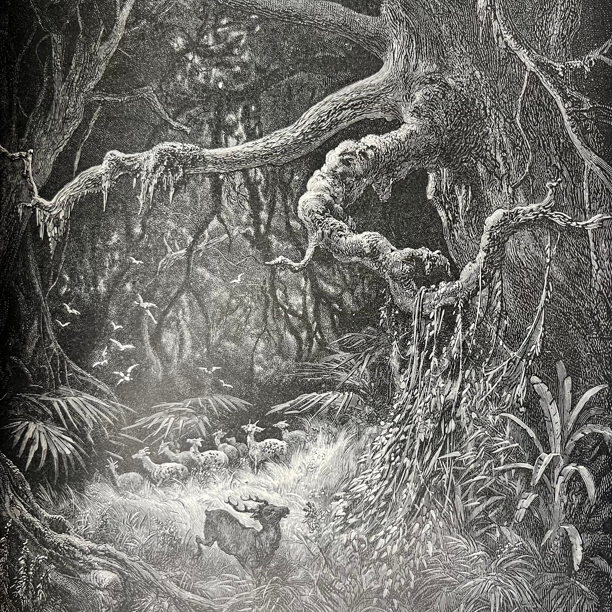 1884 Atala, Illustrated by Gustave Doré