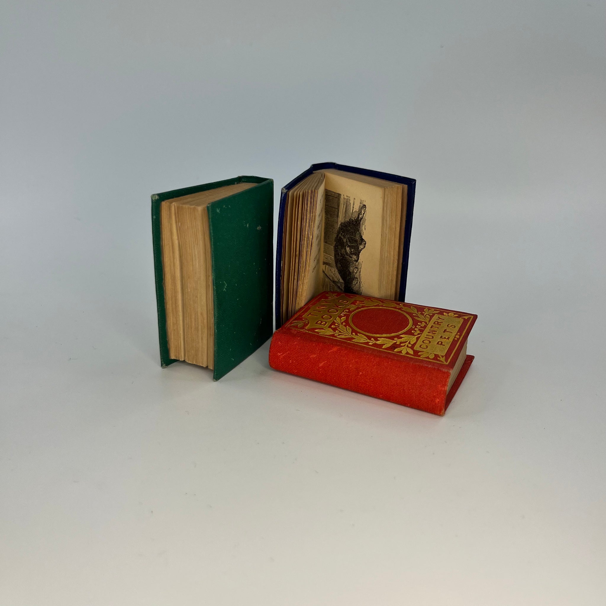 1881 Tiny Books - Illustrated