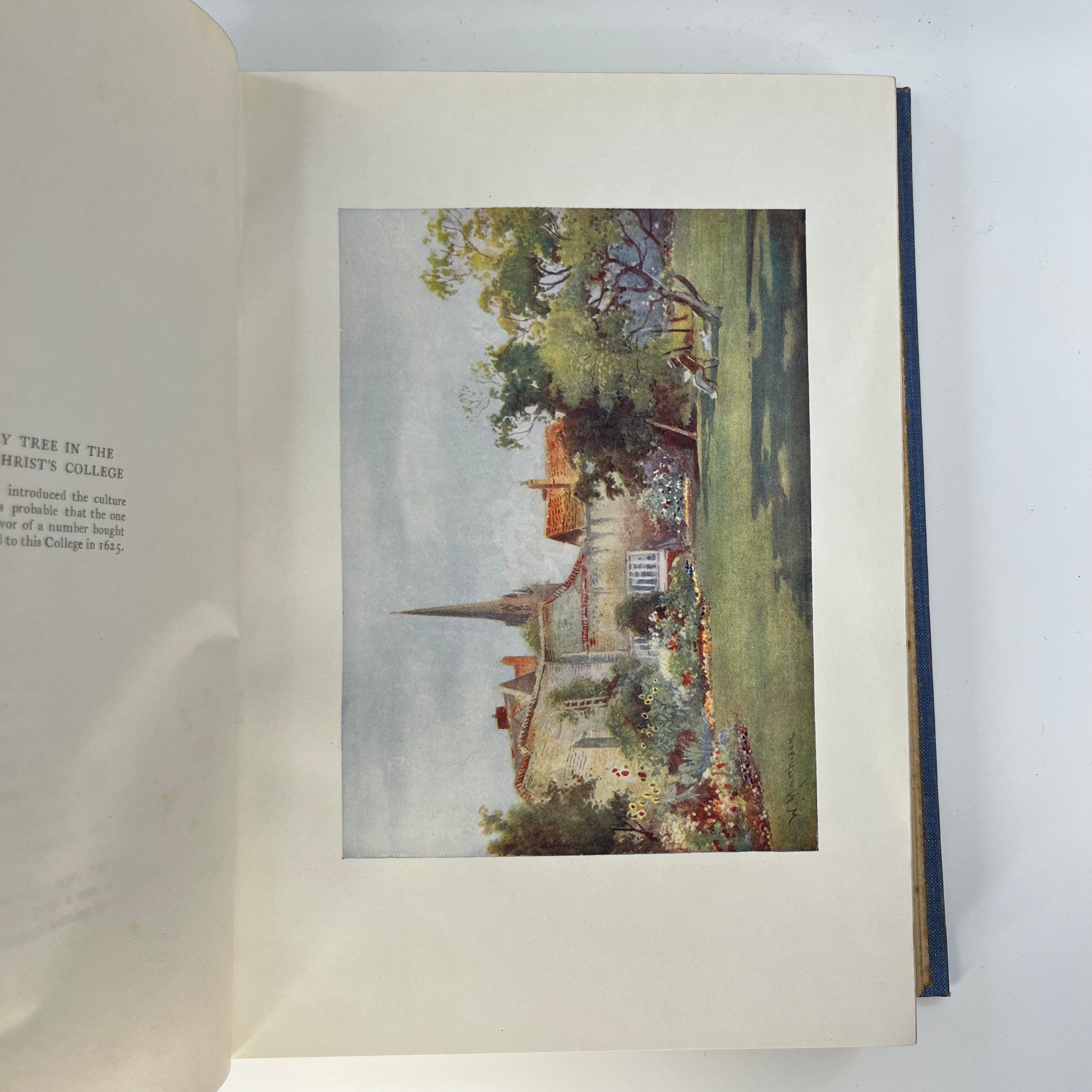 1907 Cambridge by Mar Tuker Illustrated by W. Matthison