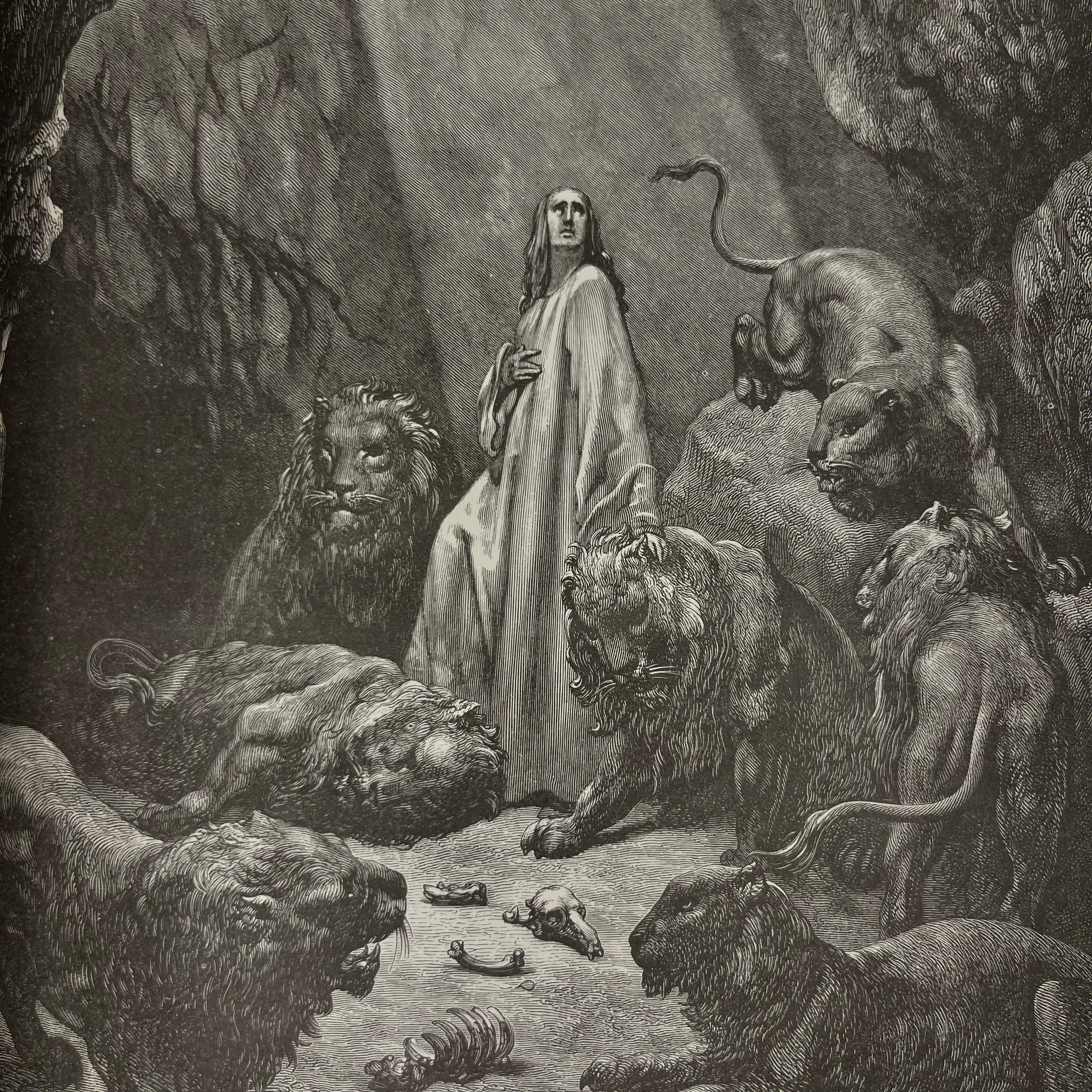 1880 Bible Gallery Illustrated By Gustave Doré